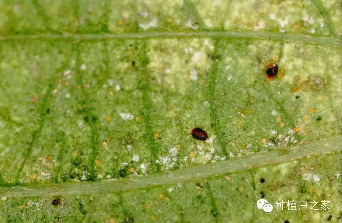 太阳成集团tyc7111cc