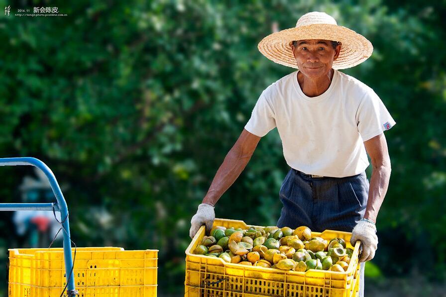 太阳成集团tyc7111cc