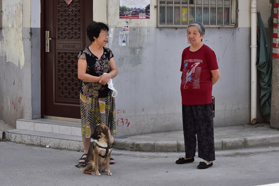 太阳成集团tyc7111cc