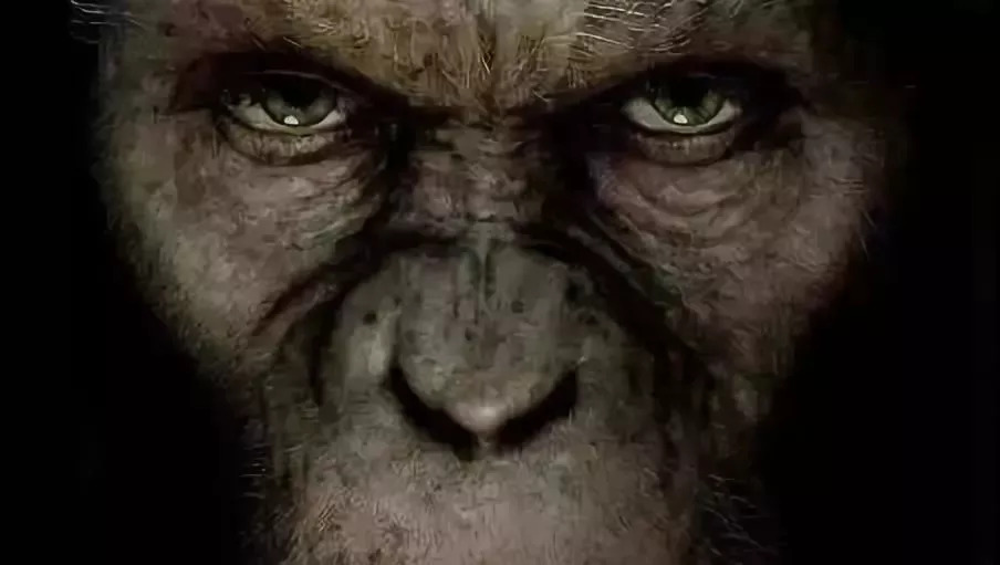 “太阳成集团tyc7111cc”新疆今年将再招3300名中职生赴内地免费就读(图2) 太阳成集团tyc7111cc