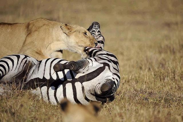 太阳成集团tyc7111cc