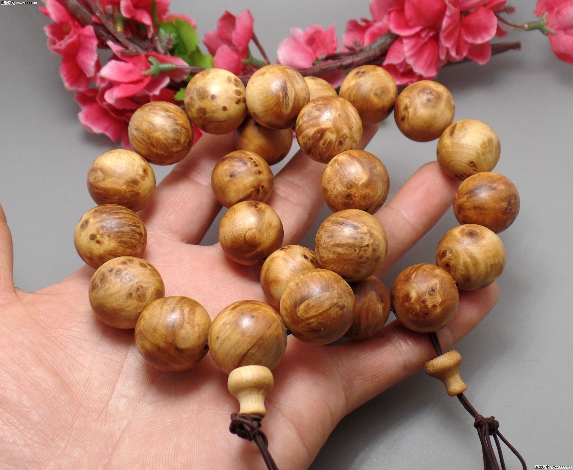 太阳成集团tyc7111cc