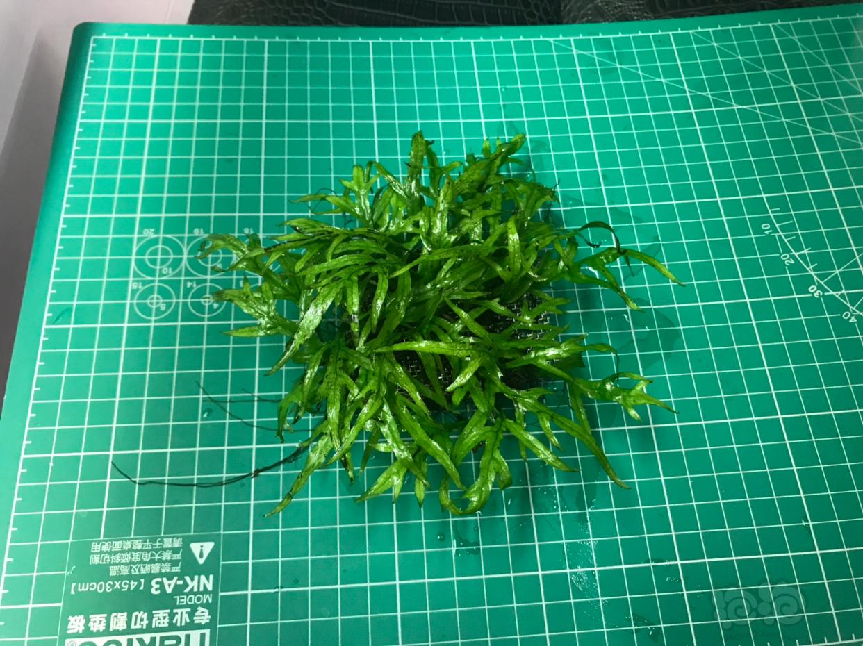 太阳成集团tyc7111cc