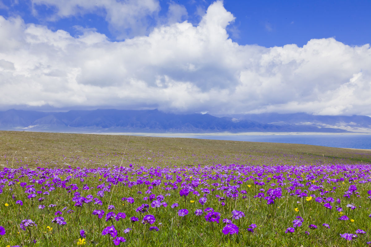 太阳成集团tyc7111cc