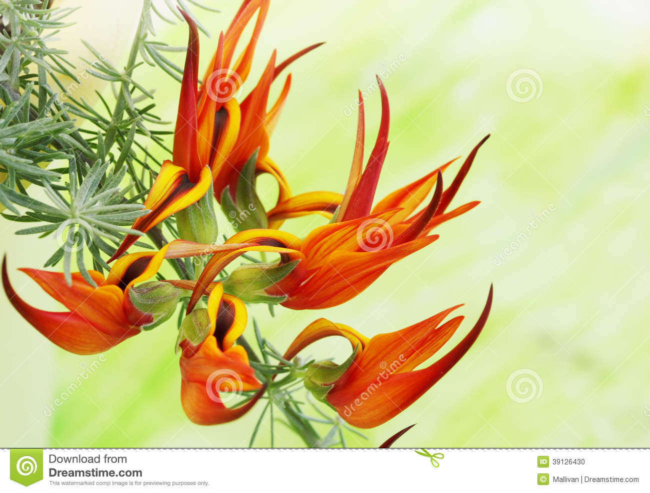 太阳成集团tyc7111cc