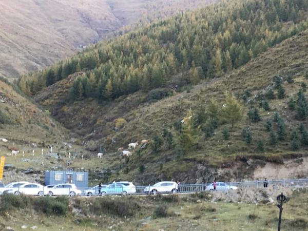 太阳成集团tyc7111cc