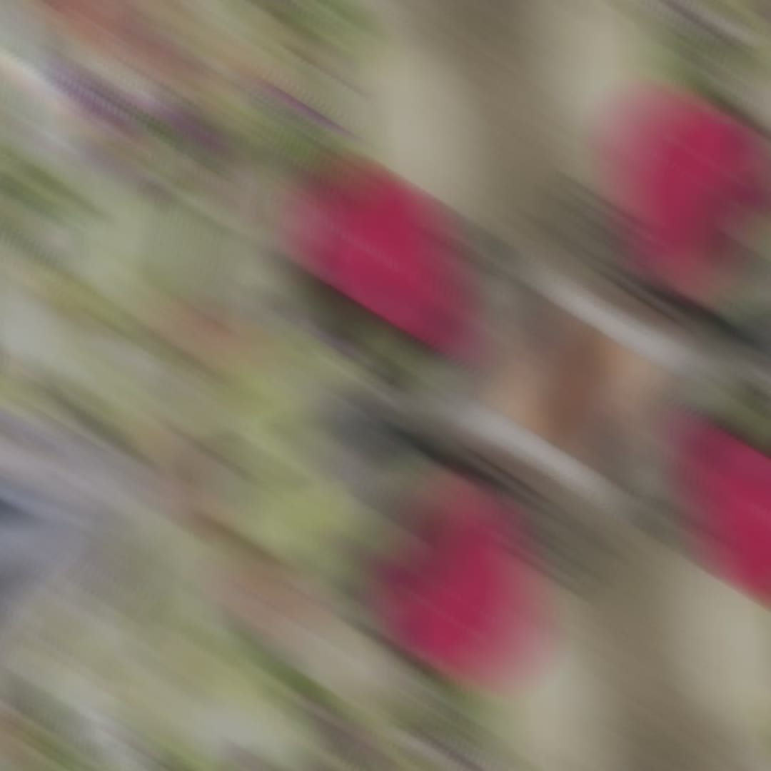 太阳成集团tyc7111cc