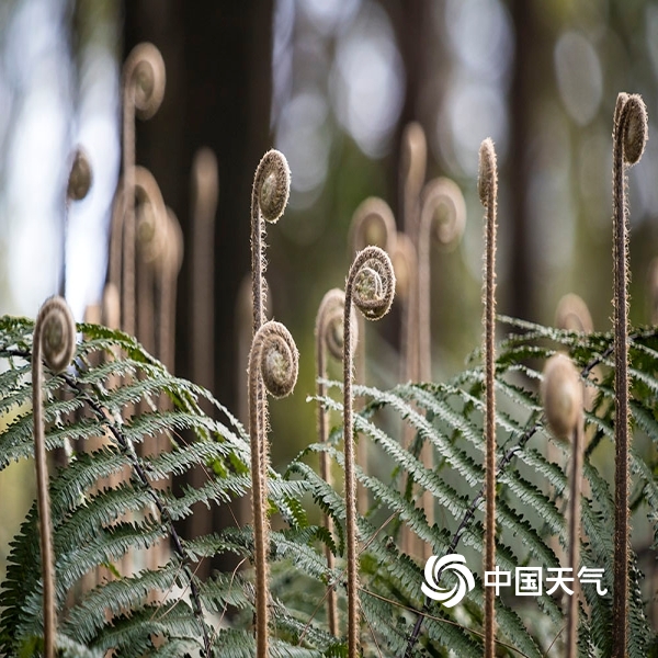 太阳成集团tyc7111cc