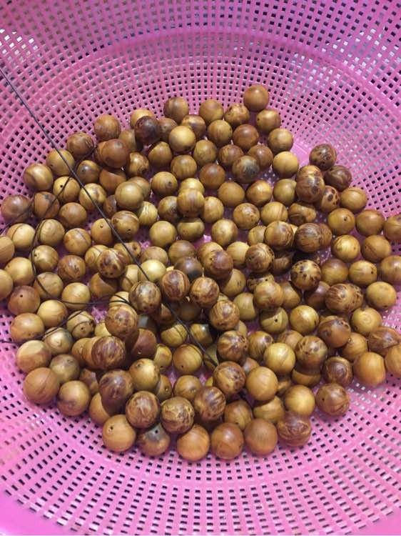 平均就业率超90%贵州中职生今年力争招生18万【太阳成集团tyc7111cc】(图1) 太阳成集团tyc7111cc