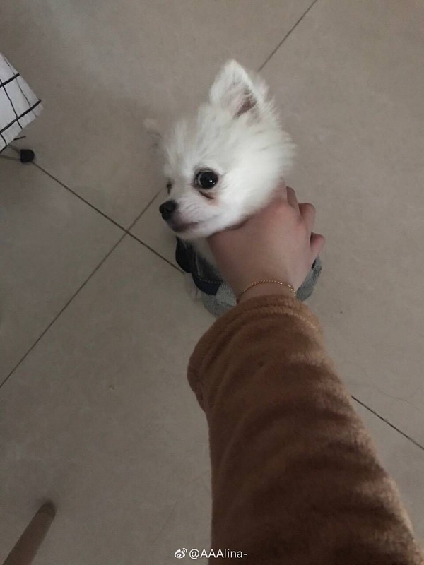 太阳成集团tyc7111cc-女大学生应聘模特假摄影师多次将其强奸(图1) 太阳成集团tyc7111cc