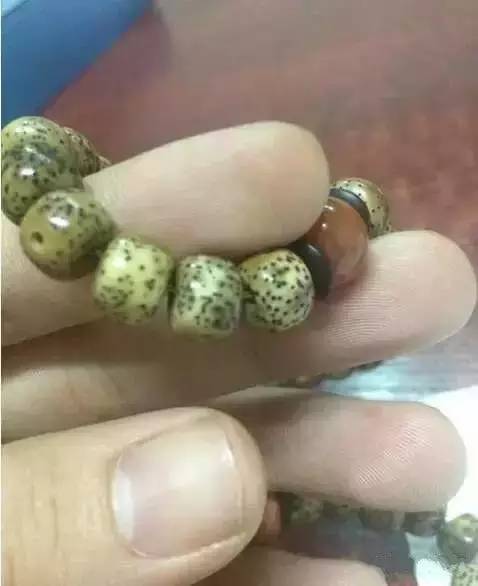 太阳成集团tyc7111cc