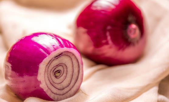 太阳成集团tyc7111cc