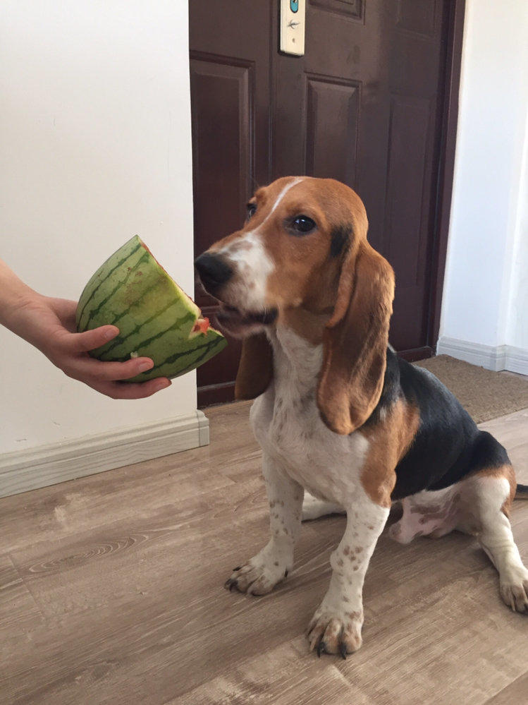 太阳成集团tyc7111cc