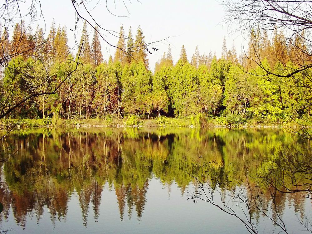 太阳成集团tyc7111cc