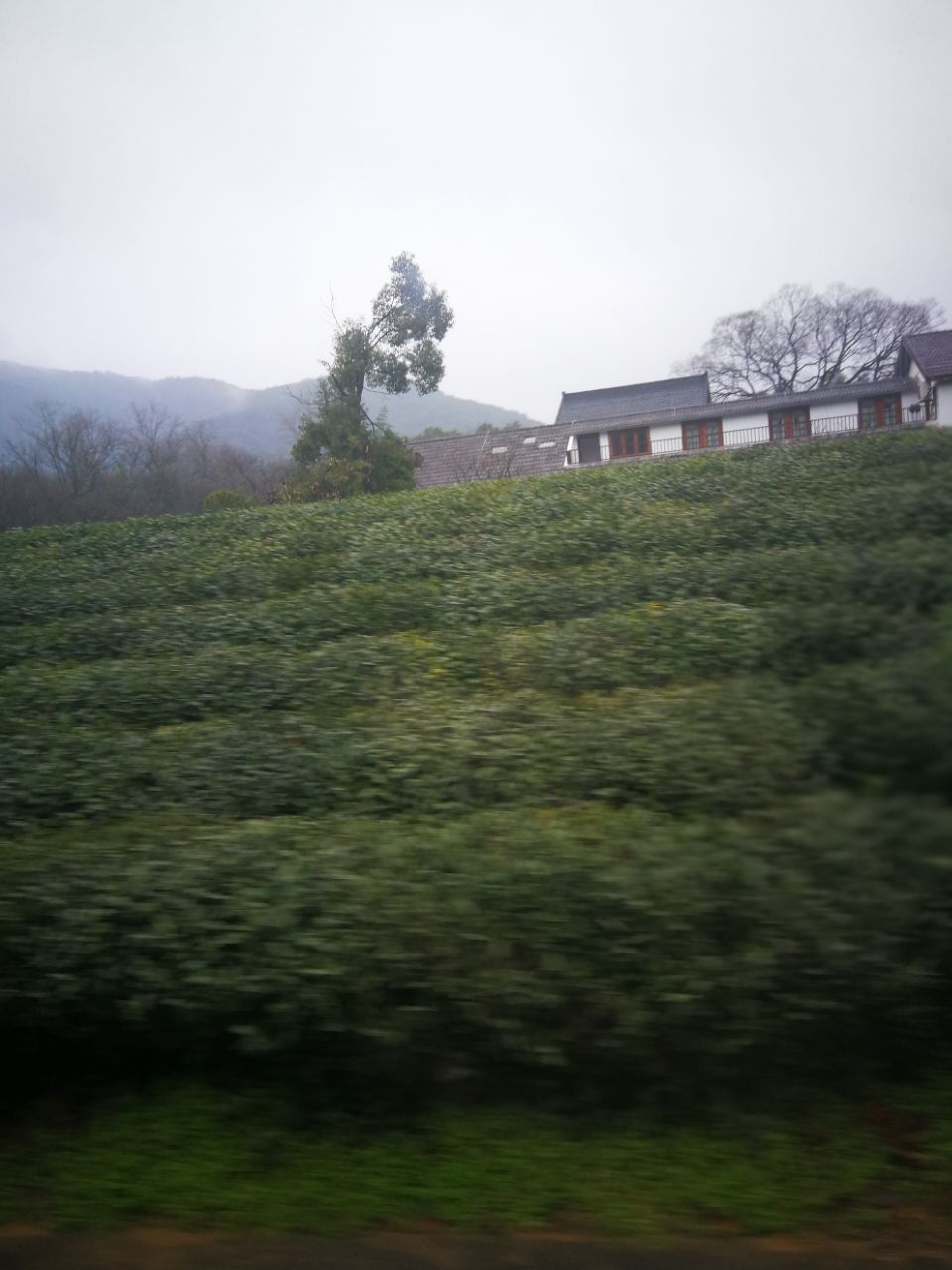 太阳成集团tyc7111cc