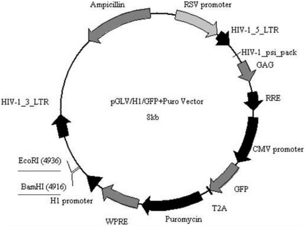太阳成集团tyc7111cc-职教流动现场会强调要建立长效机制充分促进校企对接(图3) 太阳成集团tyc7111cc
