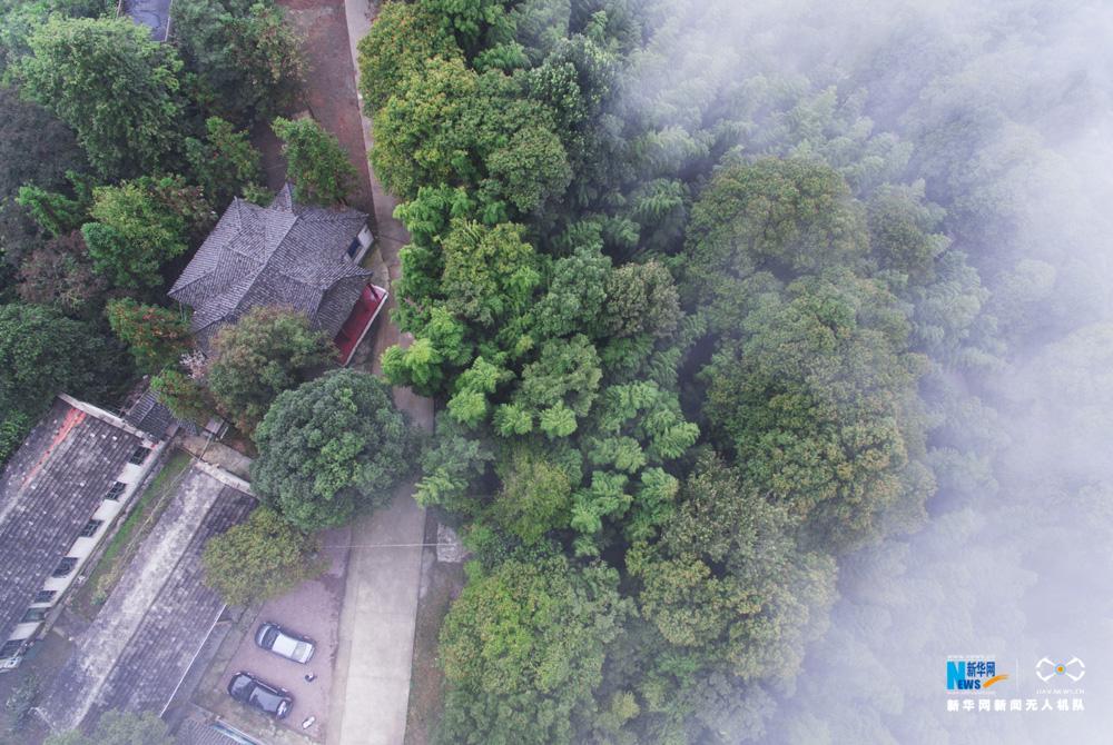 ‘太阳成集团tyc7111cc’广东佛山三水区拟设饮料等职教专业(图3) 太阳成集团tyc7111cc