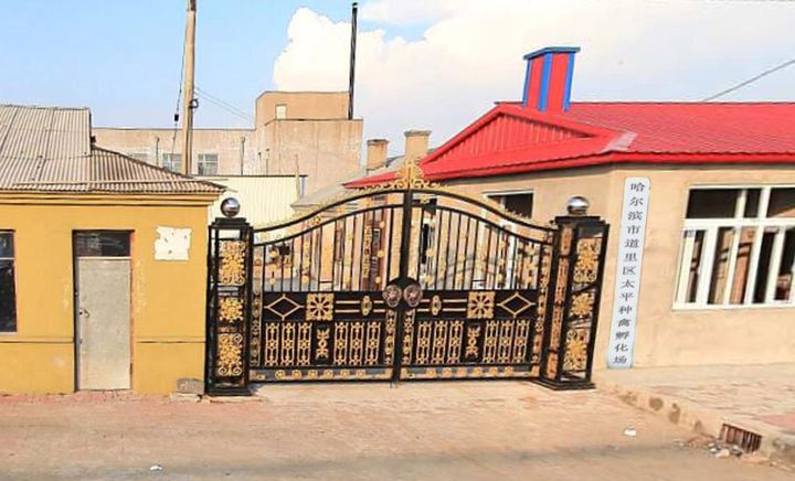 太阳成集团tyc7111cc:《魔兽世界》yy是哪个副本 yy副本内容详解(图1) 太阳成集团tyc7111cc