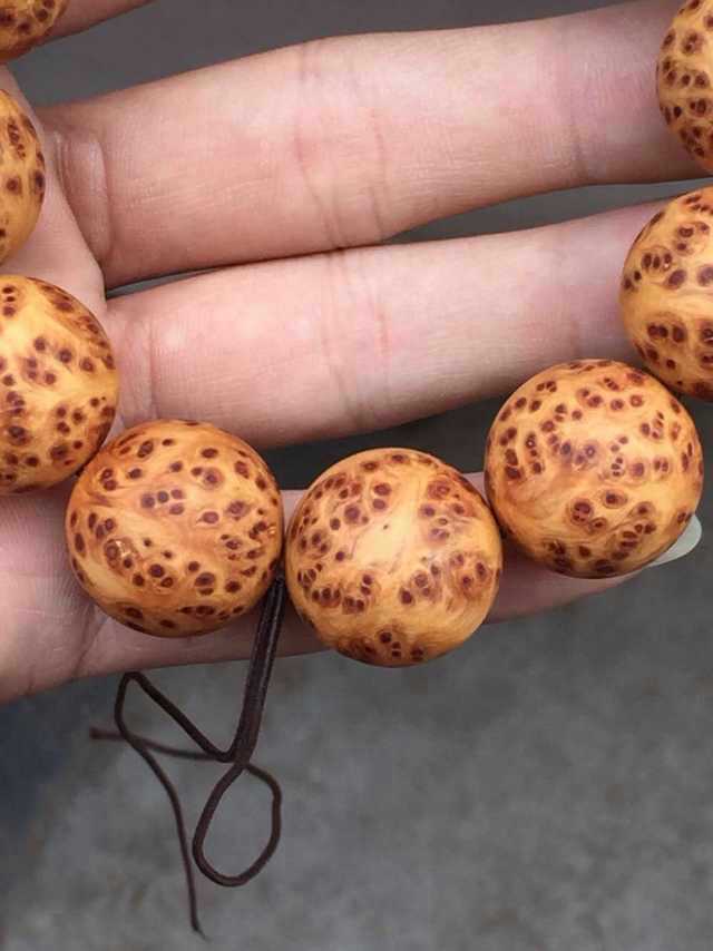 太阳成集团tyc7111cc-青海藏区“十二五”将有万名学生赴山东读中职(图3) 太阳成集团tyc7111cc