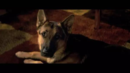 太阳成集团tyc7111cc