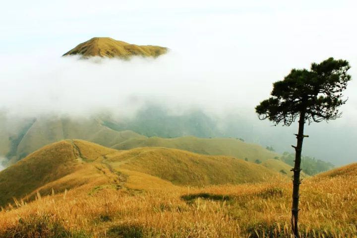 太阳成集团tyc7111cc