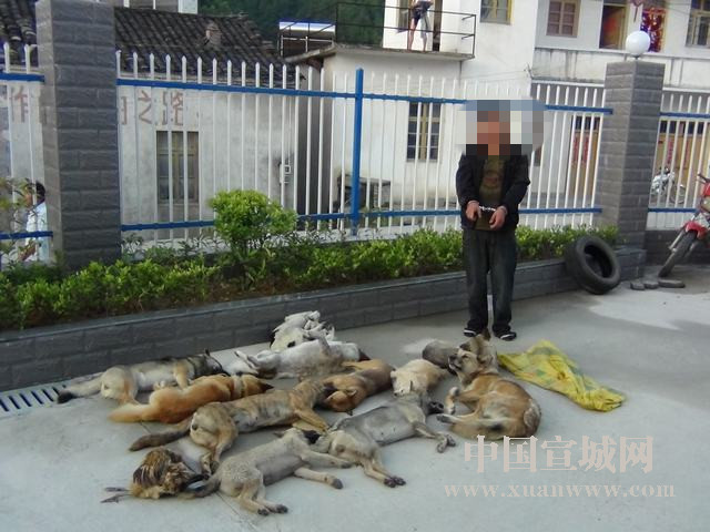 太阳成集团tyc7111cc