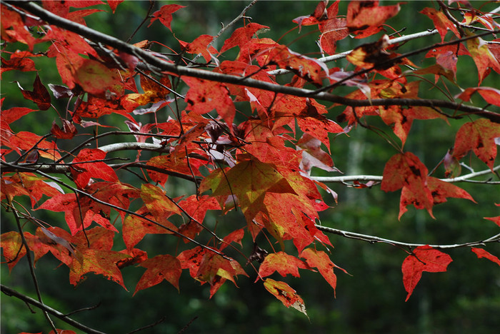 太阳成集团tyc7111cc