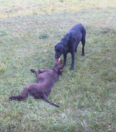 太阳成集团tyc7111cc