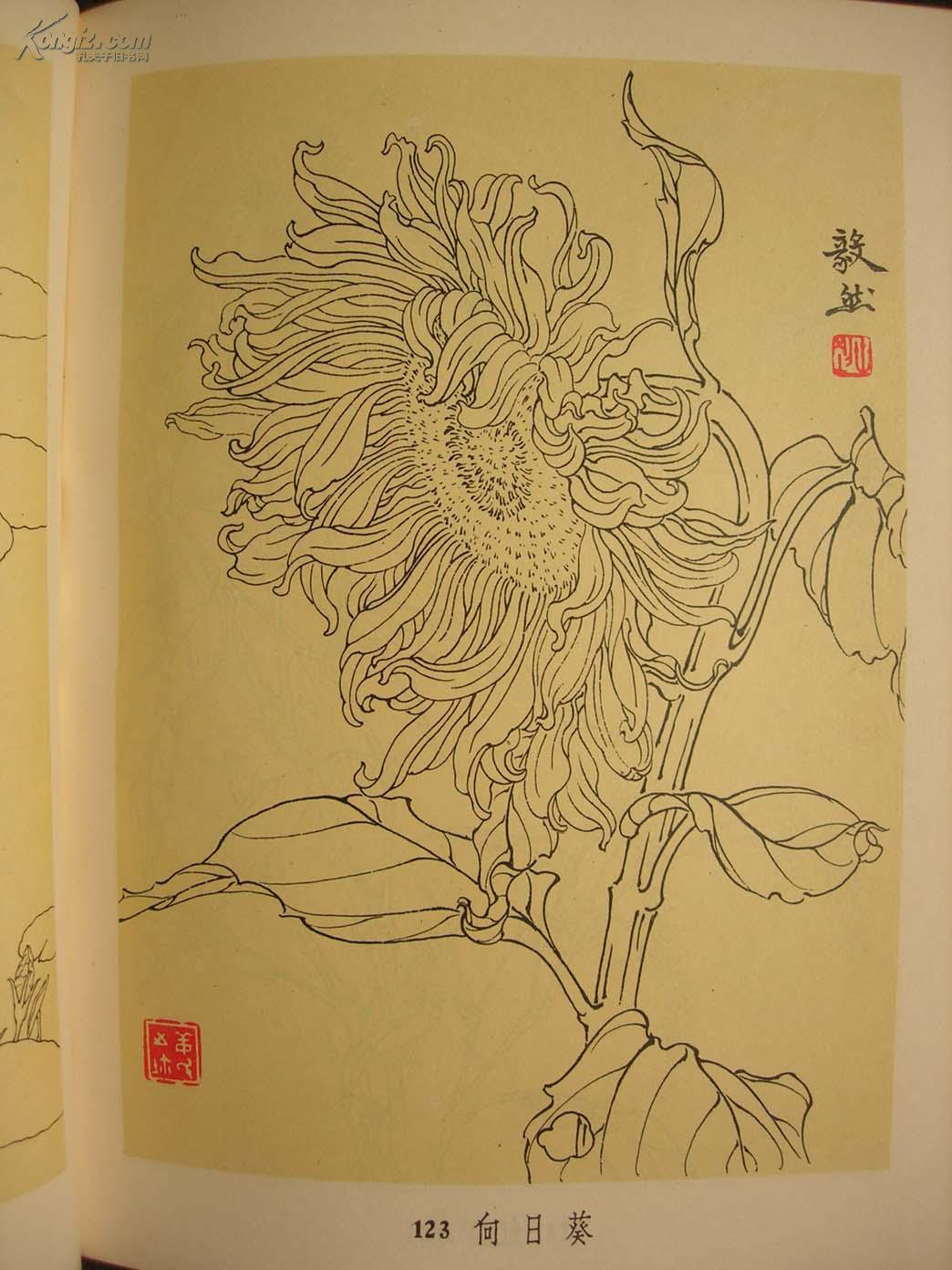 太阳成集团tyc7111cc