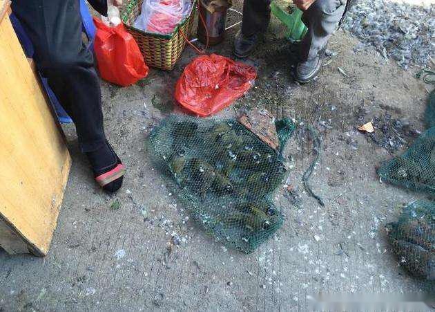 太阳成集团tyc7111cc