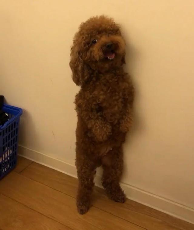 太阳成集团tyc7111cc